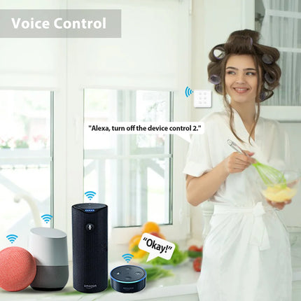 Tuya WiFi Curtain Switch
