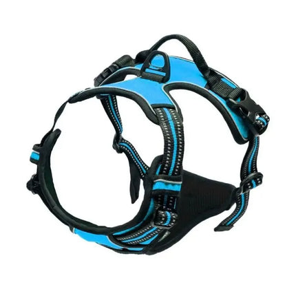Adjustable Dog Harness & Leash Set
