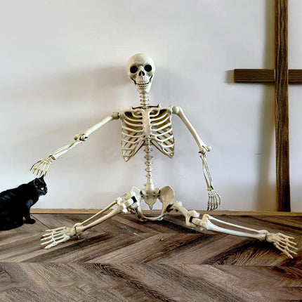Halloween Realistic Body Bones Life Size Human Skeleton With Posable Joints Simulation Skull Ornament Haunted House Horror Props