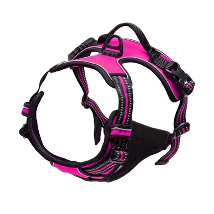 Adjustable Dog Harness & Leash Set