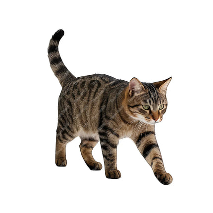 Three Ratels CG80 Cute calico cat animal stickers for home decoration pet supplies decals