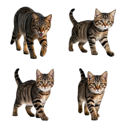 Three Ratels CG80 Cute calico cat animal stickers for home decoration pet supplies decals