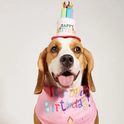 Dog Birthday Decorations Cake Hat & Bandana Scarfs Set - Pink,Happy Birthday Hat with Candles, Dog Birthday Present,Pet Supplies