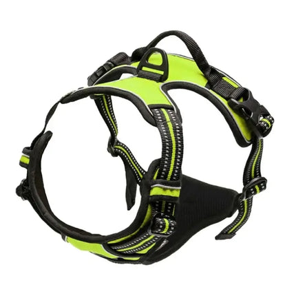 Adjustable Dog Harness & Leash Set