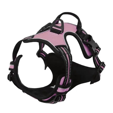 Adjustable Dog Harness & Leash Set