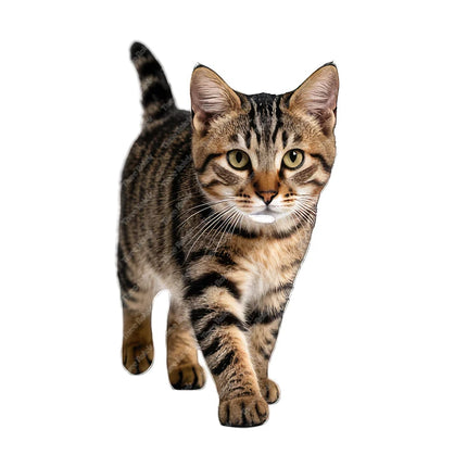 Three Ratels CG80 Cute calico cat animal stickers for home decoration pet supplies decals