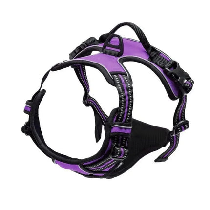 Adjustable Dog Harness & Leash Set