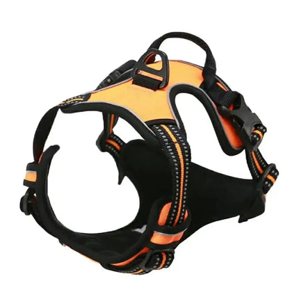 Adjustable Dog Harness & Leash Set