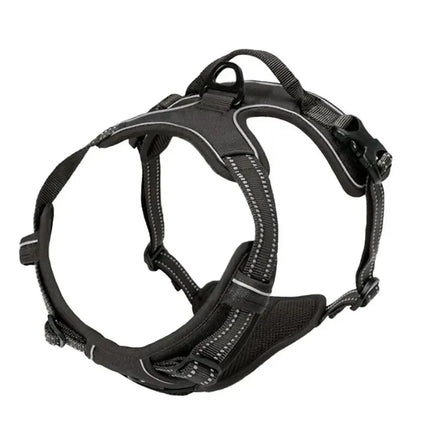 Adjustable Dog Harness & Leash Set